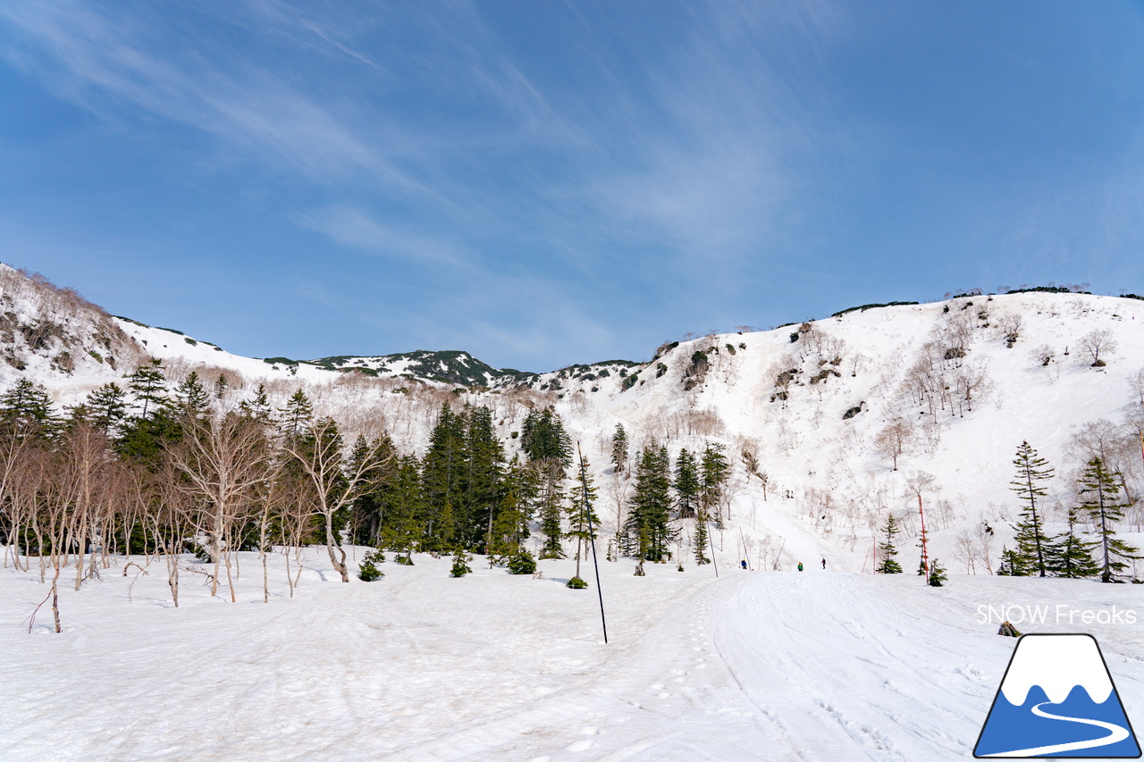 大雪山旭岳ロープウェイ｜2022-2023シーズンSNOWFreaks最終レポート。滑り納めは、北海道最高峰「旭岳」。皆様、今シーズンもありがとうございました！